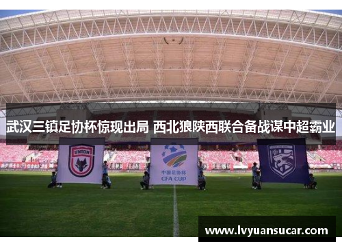 武汉三镇足协杯惊现出局 西北狼陕西联合备战谋中超霸业